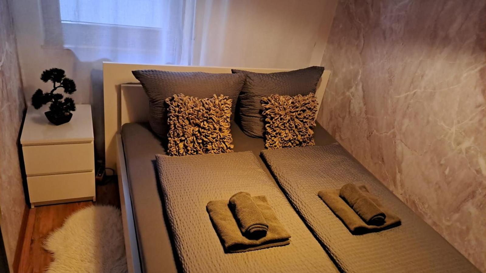 Viktor Apartment 티티제-노이슈타트 외부 사진
